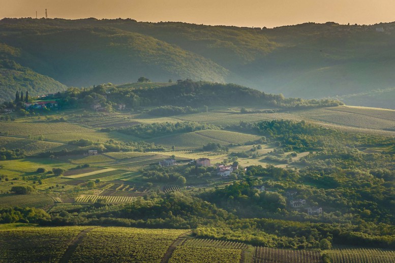 A view of Istrian fields, Croatia