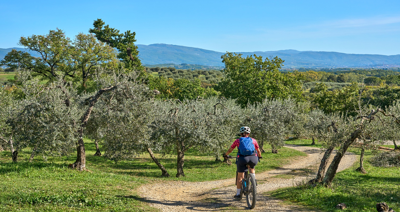 Conquer Istria: The Ultimate MTB Challenge at the 2023 Istria MTB Stage Race article image